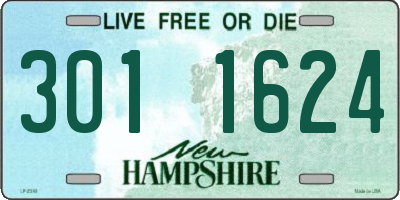 NH license plate 3011624