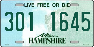 NH license plate 3011645