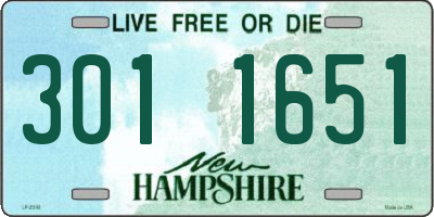 NH license plate 3011651