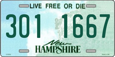 NH license plate 3011667