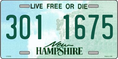 NH license plate 3011675