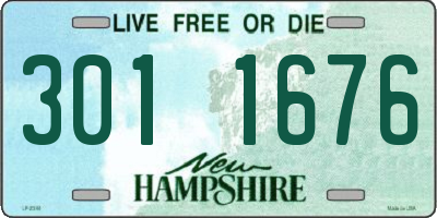 NH license plate 3011676