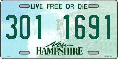 NH license plate 3011691