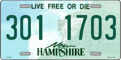 NH license plate 3011703