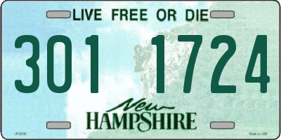 NH license plate 3011724