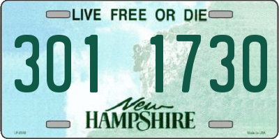 NH license plate 3011730