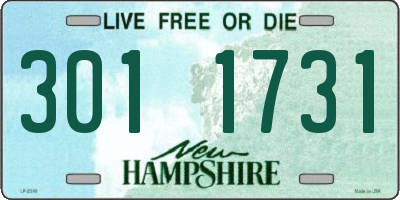 NH license plate 3011731