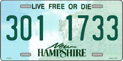 NH license plate 3011733