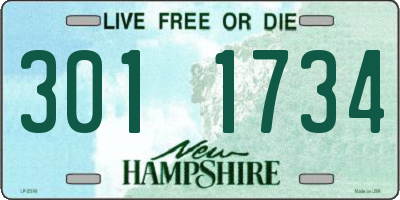 NH license plate 3011734