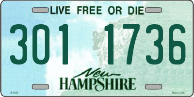 NH license plate 3011736