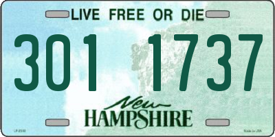 NH license plate 3011737
