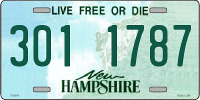 NH license plate 3011787
