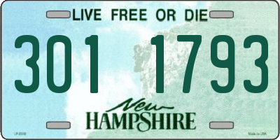 NH license plate 3011793