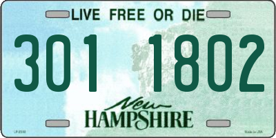 NH license plate 3011802