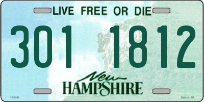 NH license plate 3011812