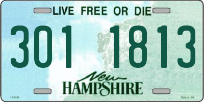 NH license plate 3011813