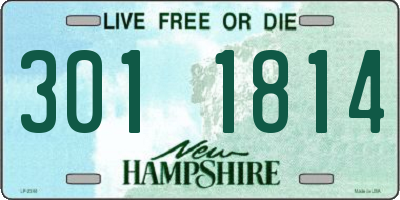 NH license plate 3011814