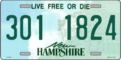 NH license plate 3011824