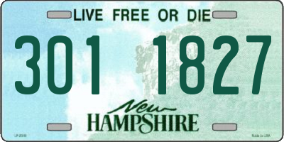 NH license plate 3011827