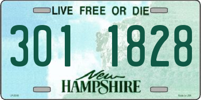 NH license plate 3011828