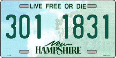 NH license plate 3011831