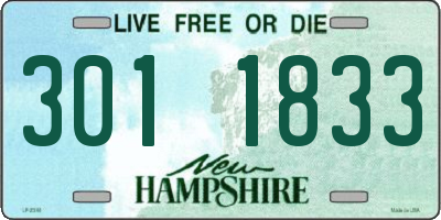 NH license plate 3011833