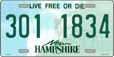 NH license plate 3011834