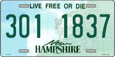 NH license plate 3011837