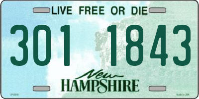 NH license plate 3011843