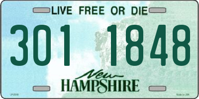 NH license plate 3011848
