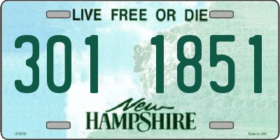 NH license plate 3011851