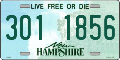 NH license plate 3011856