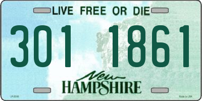 NH license plate 3011861
