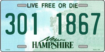 NH license plate 3011867