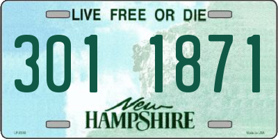 NH license plate 3011871