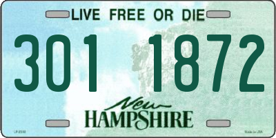 NH license plate 3011872