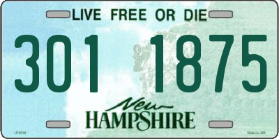 NH license plate 3011875