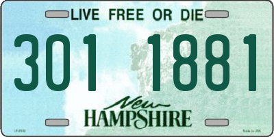 NH license plate 3011881