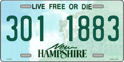 NH license plate 3011883