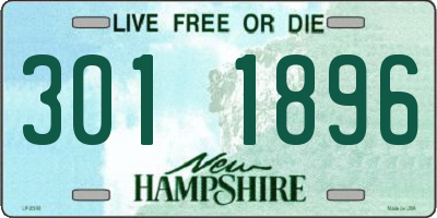 NH license plate 3011896