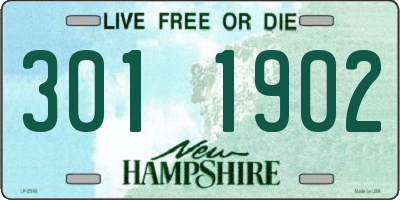 NH license plate 3011902