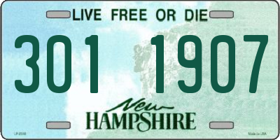 NH license plate 3011907