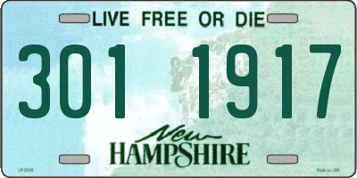 NH license plate 3011917