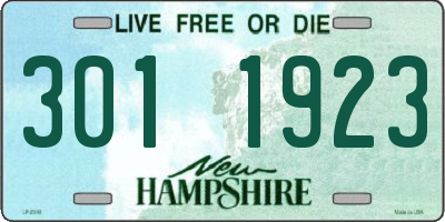 NH license plate 3011923