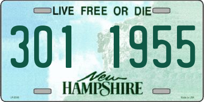 NH license plate 3011955