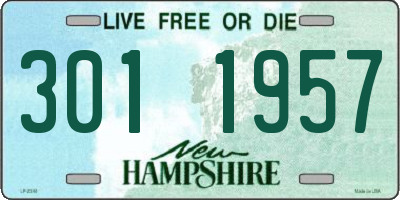 NH license plate 3011957