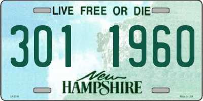 NH license plate 3011960