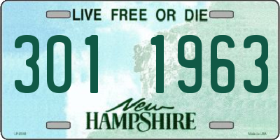 NH license plate 3011963