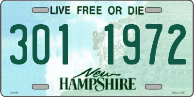 NH license plate 3011972