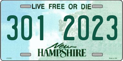 NH license plate 3012023